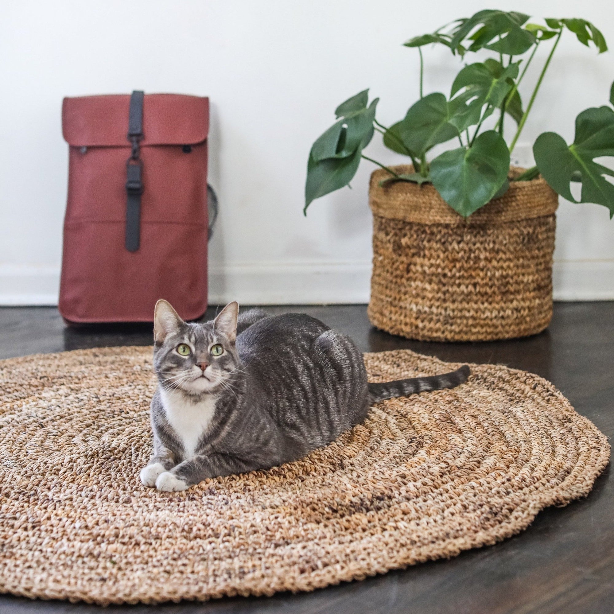Round Indoor/Outdoor Rug Rugs TerraKlay
