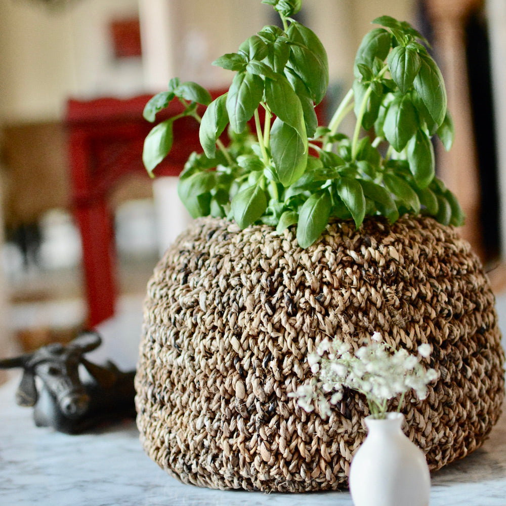 Radha Boulder Storage Basket and Planter Planters TerraKlay